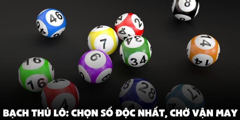 Bạch thủ lô: chọn số độc nhất, chờ vận may